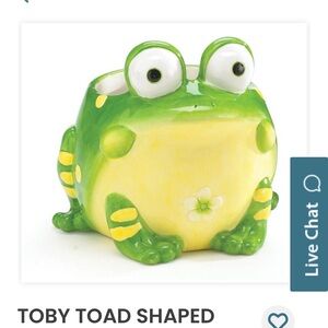 Toby Toad Green and Yellow Planter